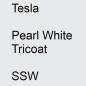 Preview: Tesla, Pearl White Tricoat, SSW.